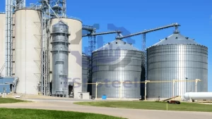 Read more about the article 1000 Ton Grain Silo For Sale