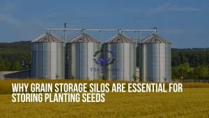 Read more about the article Why Grain Storage Silos are Essential For Storing Planting Seeds